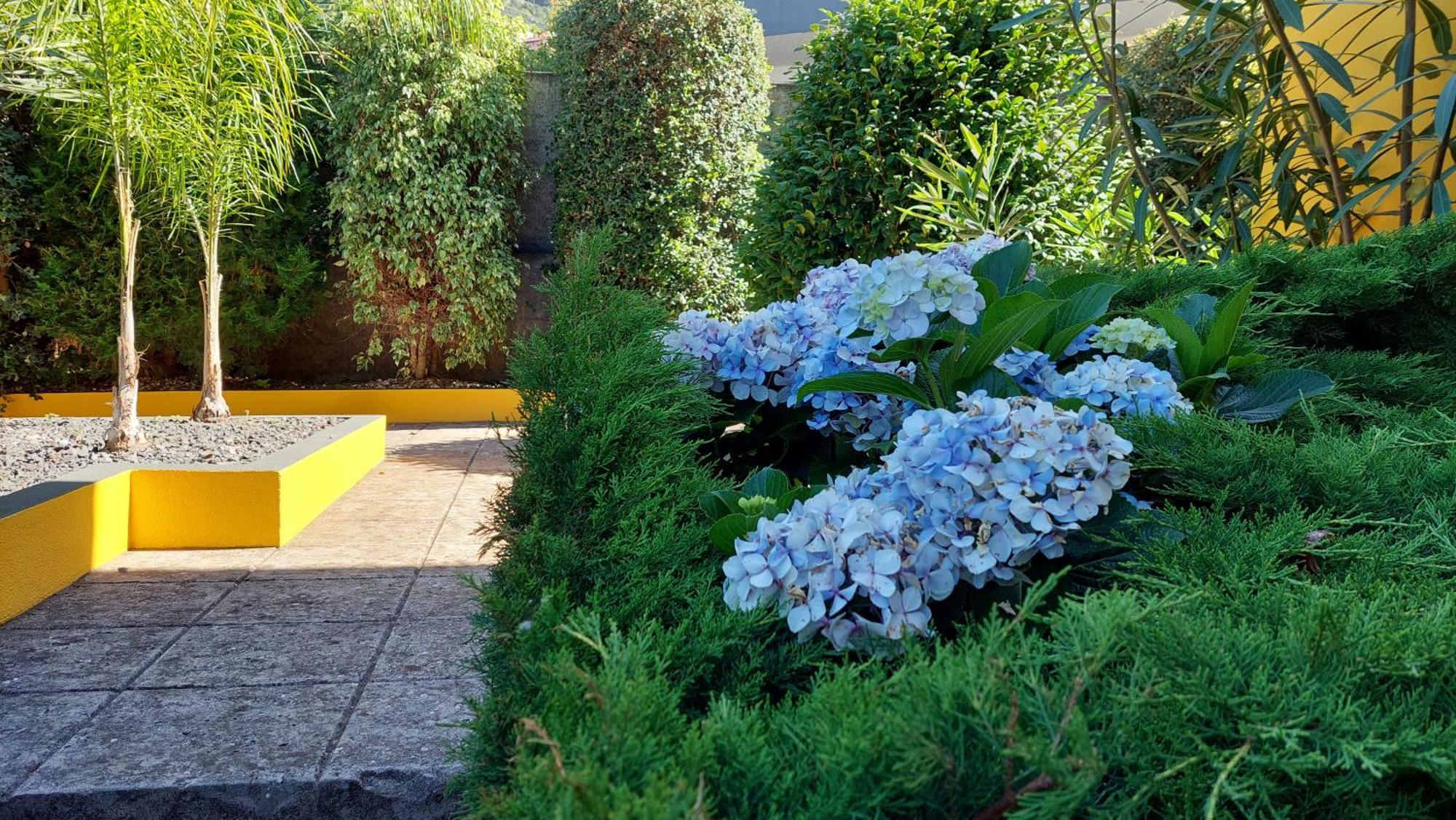 Villa Strelitzia Funchal  Exteriér fotografie